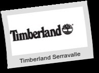 usine timberland